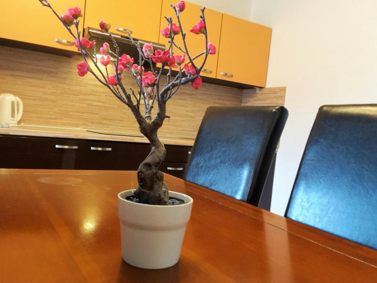 Apartman Slavkov Home & Parking Nová Lesná Εξωτερικό φωτογραφία