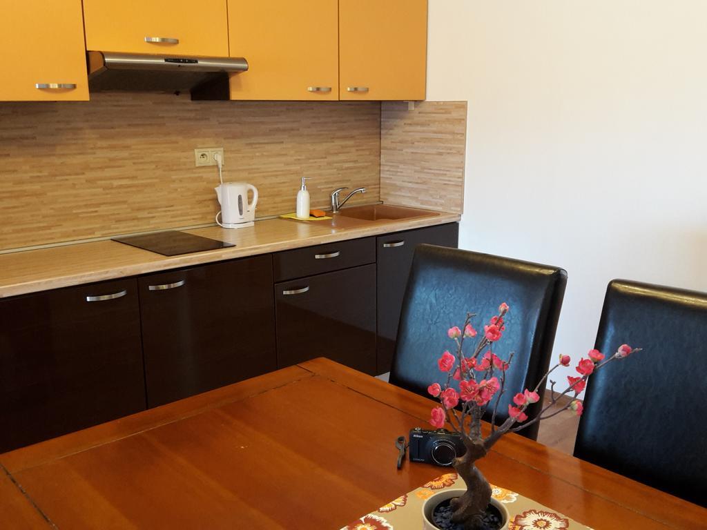 Apartman Slavkov Home & Parking Nová Lesná Εξωτερικό φωτογραφία