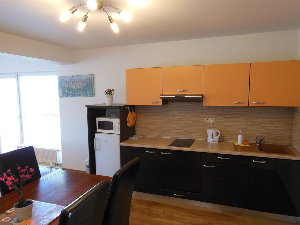 Apartman Slavkov Home & Parking Nová Lesná Εξωτερικό φωτογραφία